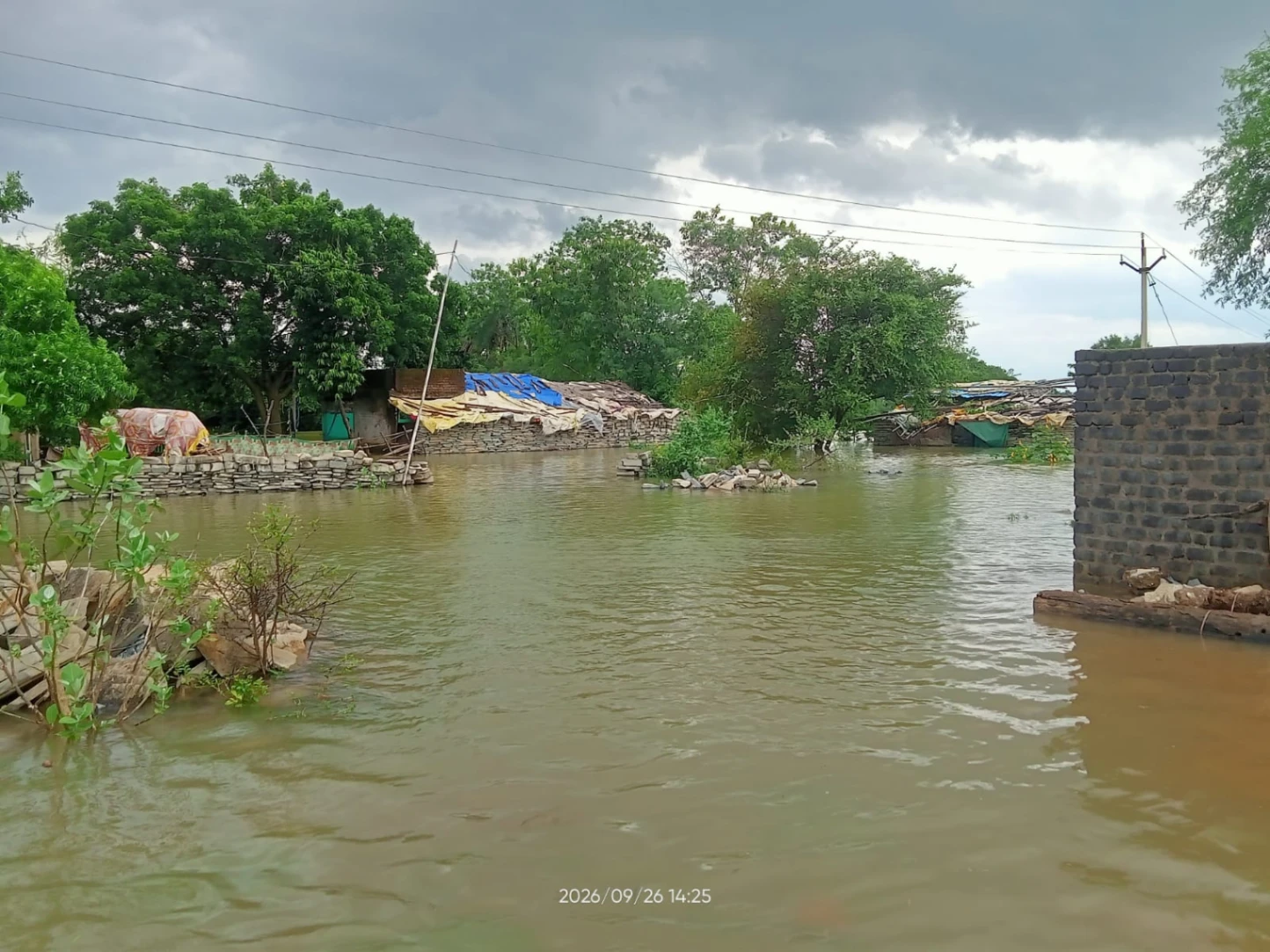 गिधपुरी में बाढ़ का खतरा, दीवान और भाठ परिवार को सुरक्षित स्थान पहुंचाया गया