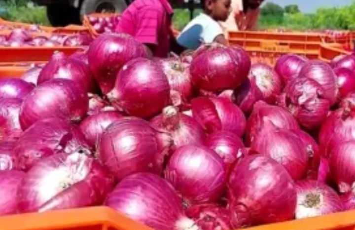 30 रुपये वाला प्याज अब 60 के पार, कमजोर मानसून से बढ़ी चिंता त्योहारों से पहले बिगड़ा रसोई का बजट